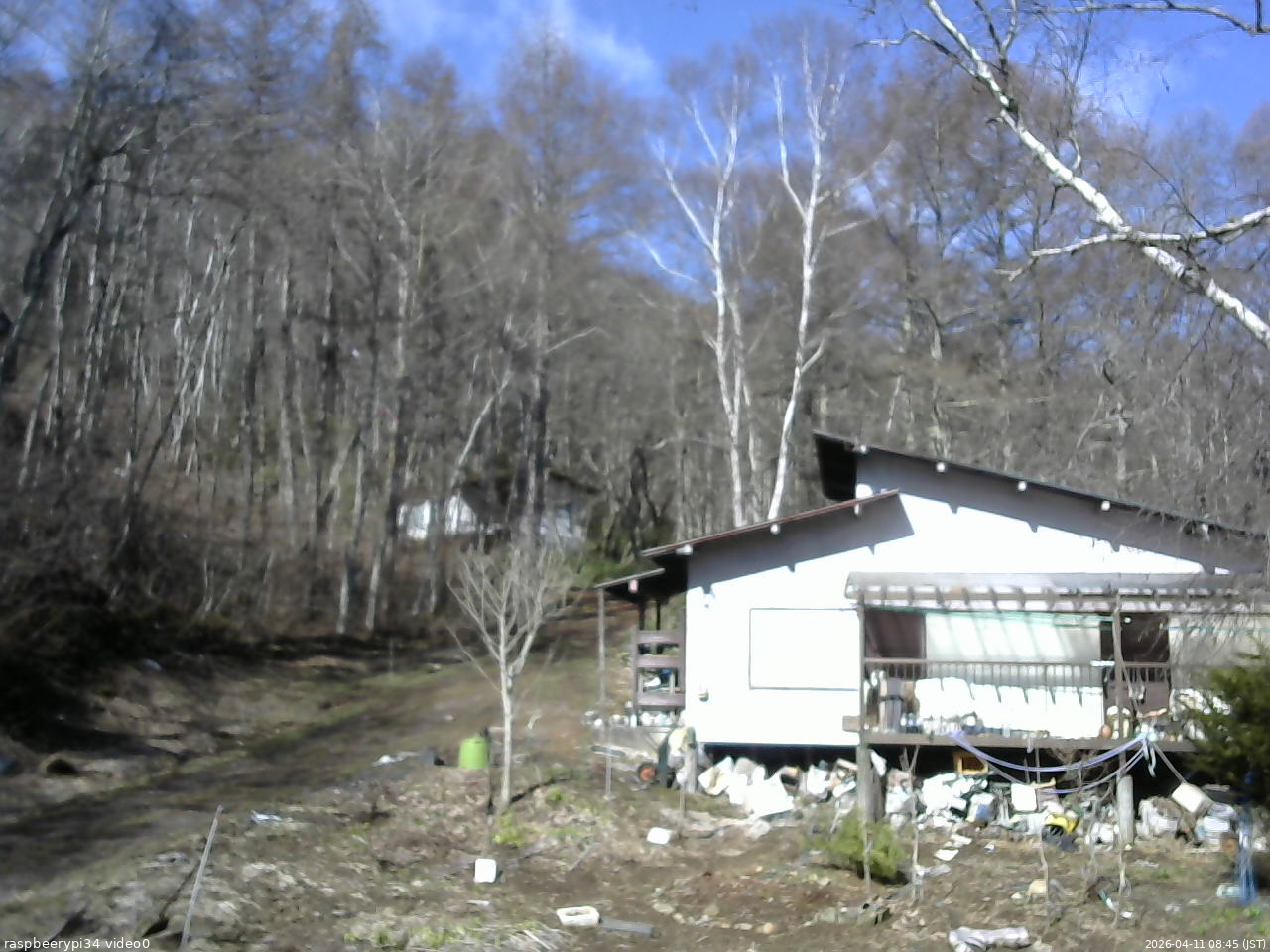 長野県菅平高原 ゆたか山荘 西側(坂上) 2026/04/11 08:45
