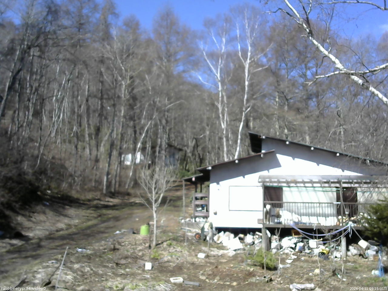長野県菅平高原 ゆたか山荘 西側(坂上) 2026/04/11 09:15