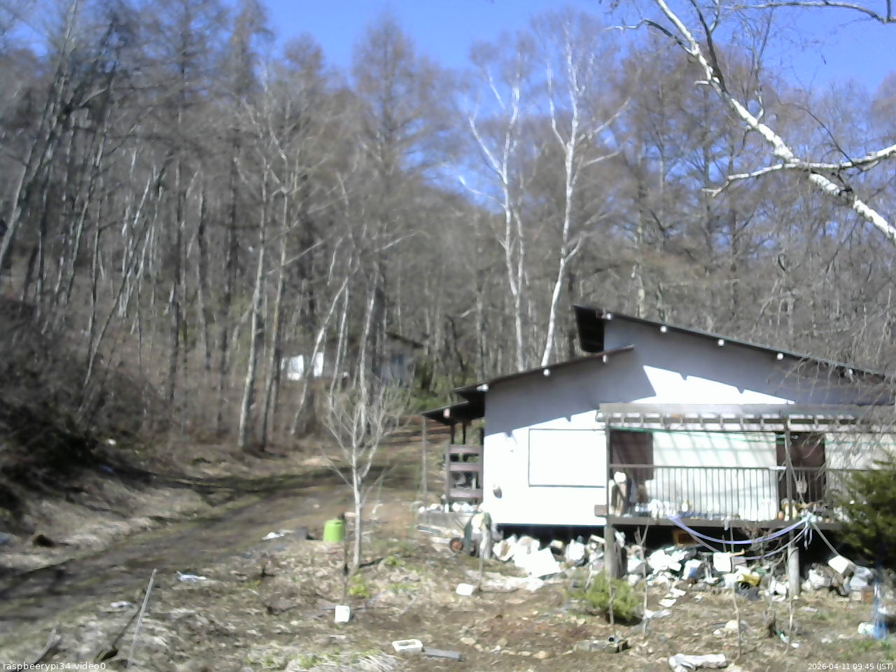 長野県菅平高原 ゆたか山荘 西側(坂上) 2026/04/11 09:45