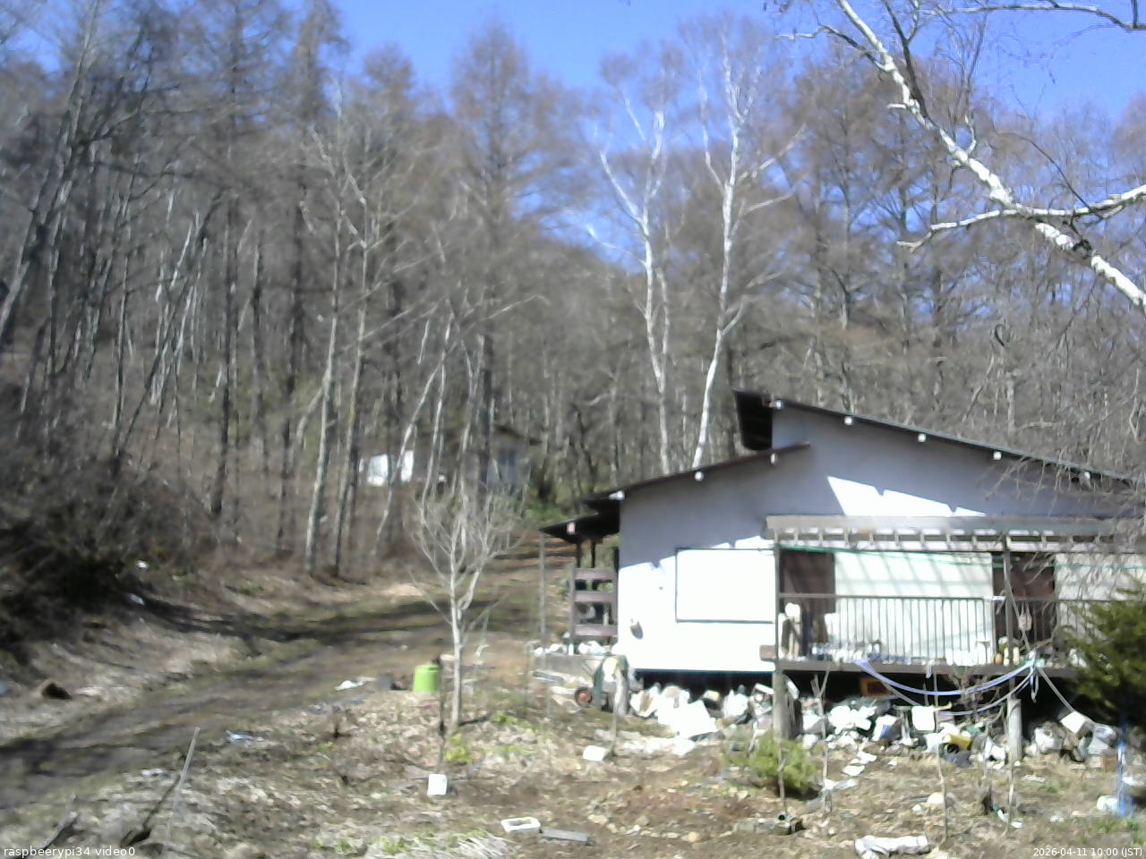 長野県菅平高原 ゆたか山荘 西側(坂上) 2026/04/11 10:00