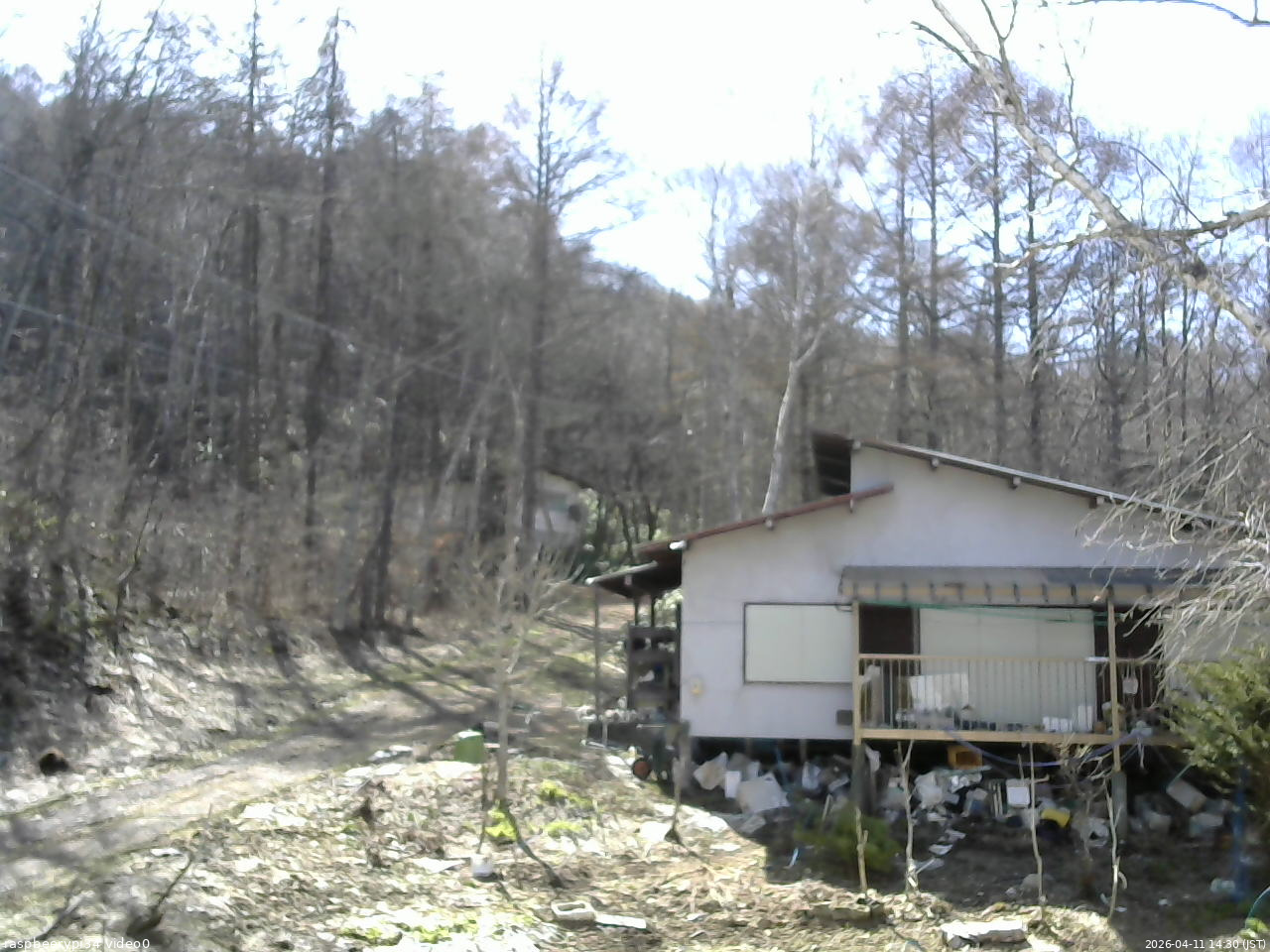 長野県菅平高原 ゆたか山荘 西側(坂上) 2026/04/11 14:30