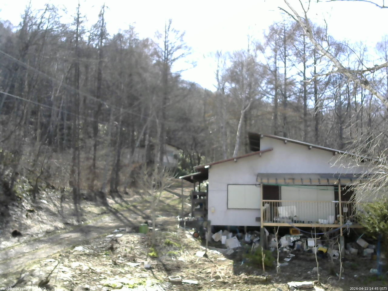 長野県菅平高原 ゆたか山荘 西側(坂上) 2026/04/11 14:45