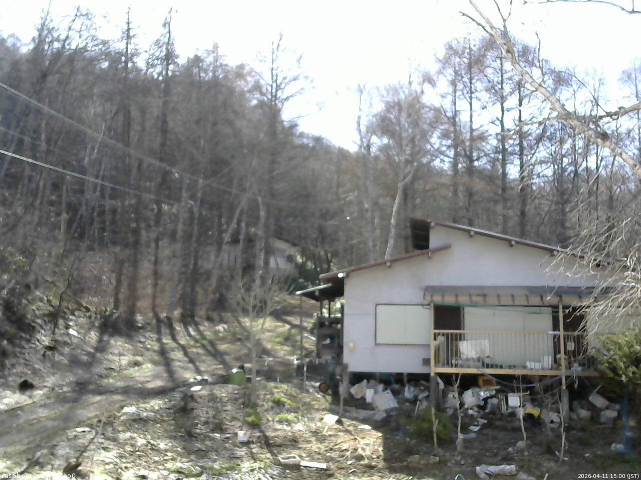 長野県菅平高原 ゆたか山荘 西側(坂上) 2026/04/11 15:00