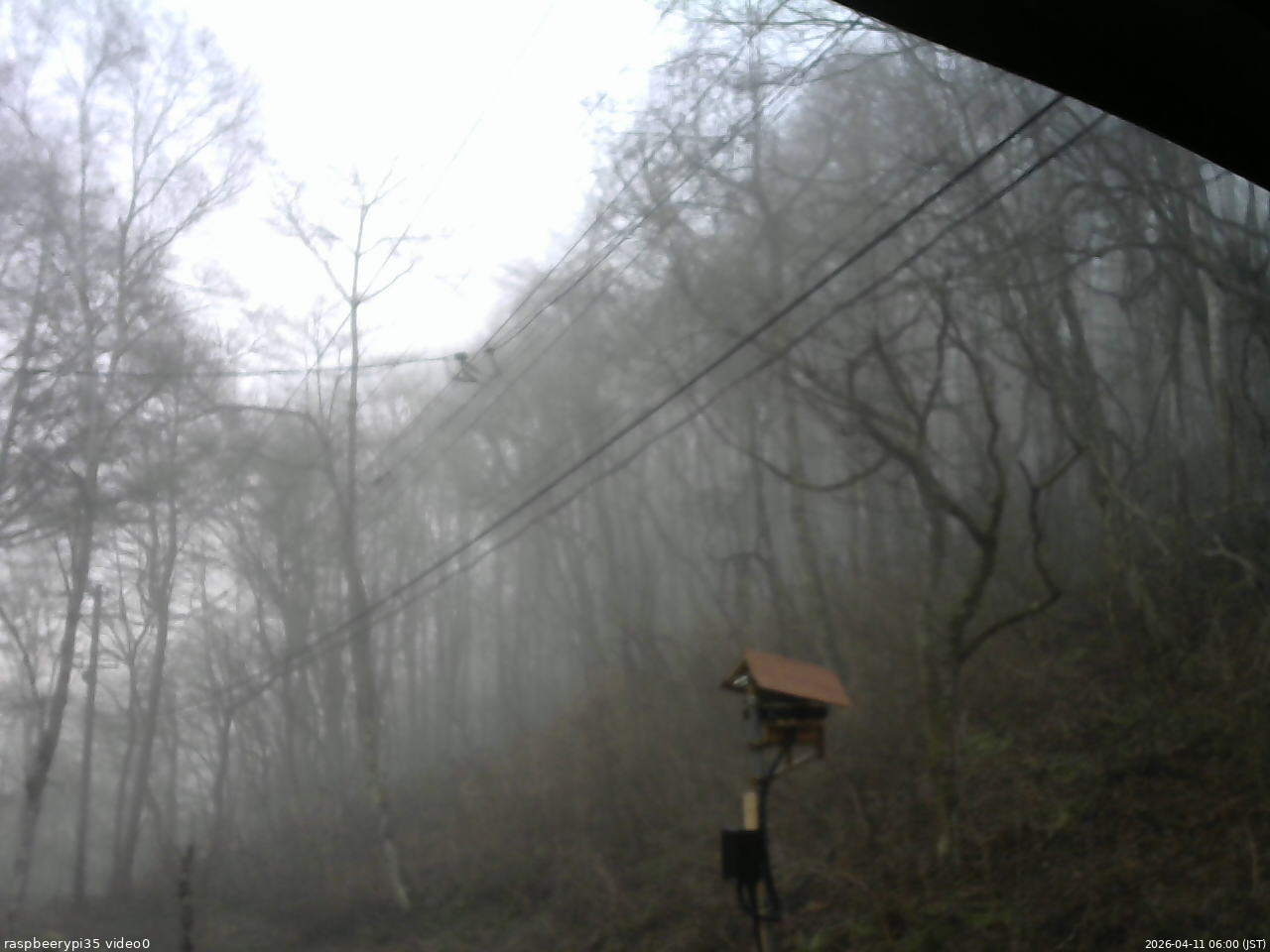 長野県菅平高原 ゆたか山荘 温度計 2026/04/11 06:00