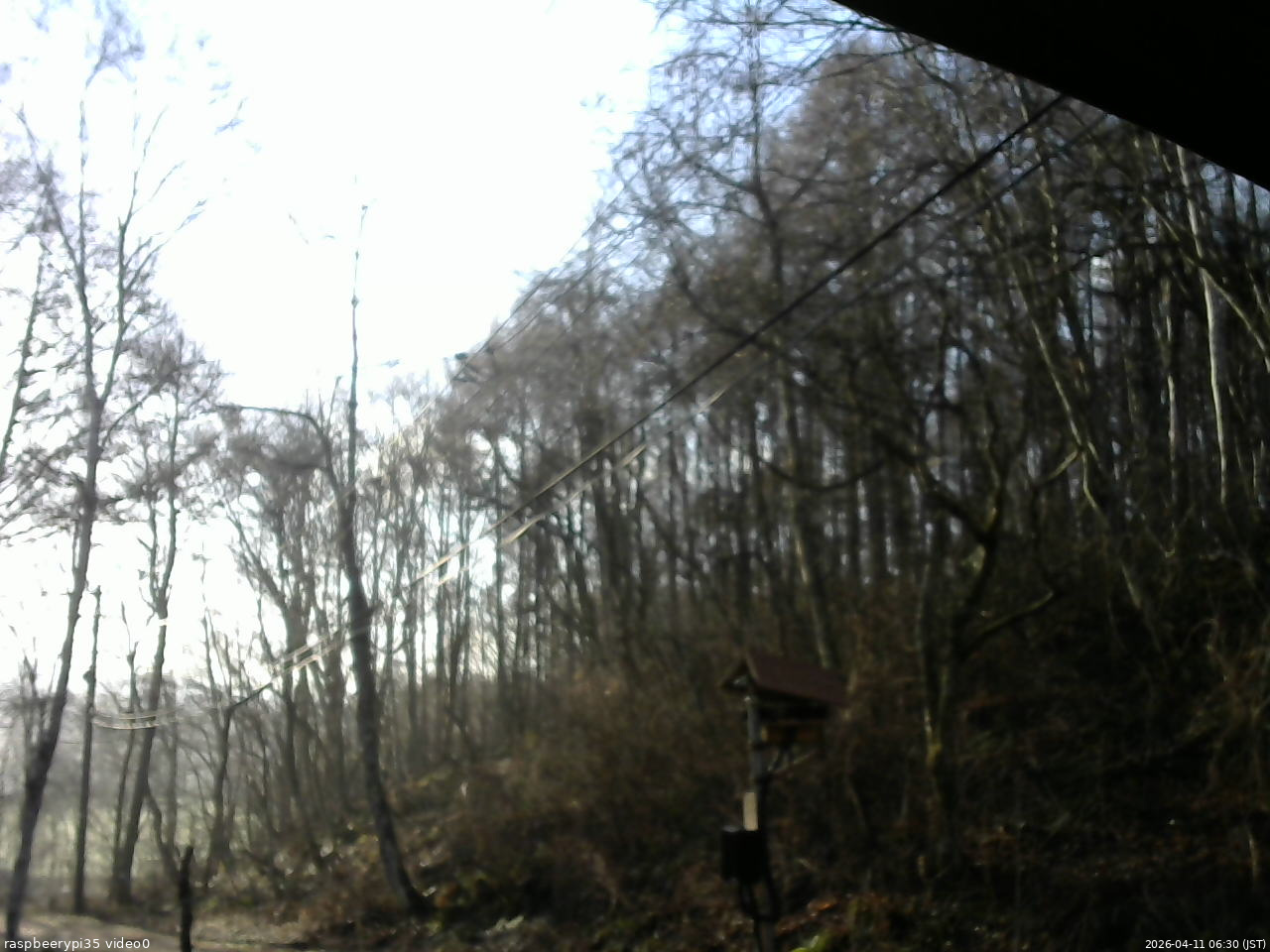 長野県菅平高原 ゆたか山荘 温度計 2026/04/11 06:30