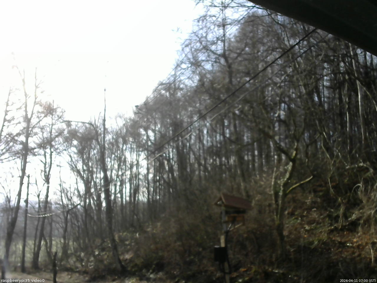 長野県菅平高原 ゆたか山荘 温度計 2026/04/11 07:00