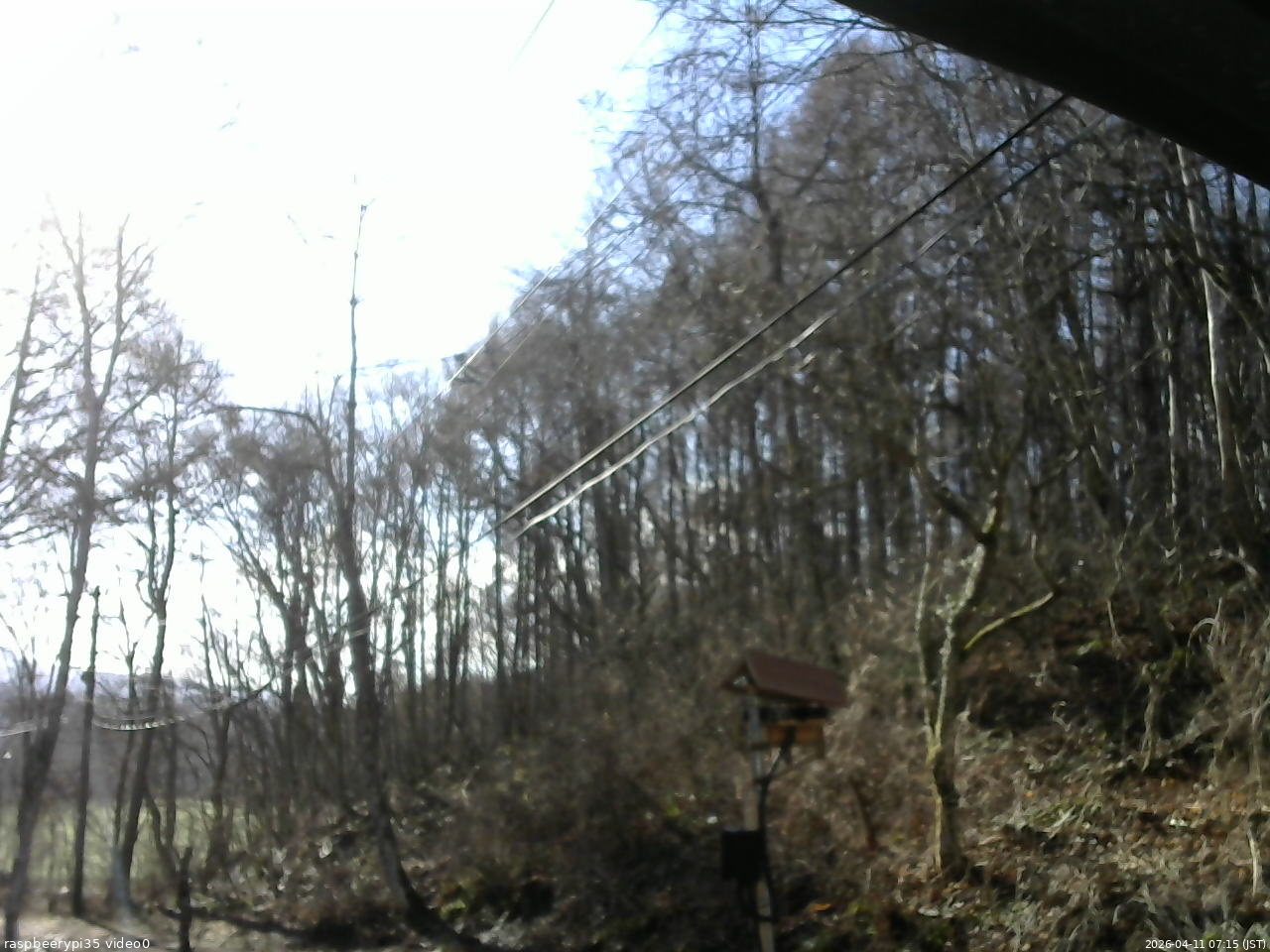 長野県菅平高原 ゆたか山荘 温度計 2026/04/11 07:15