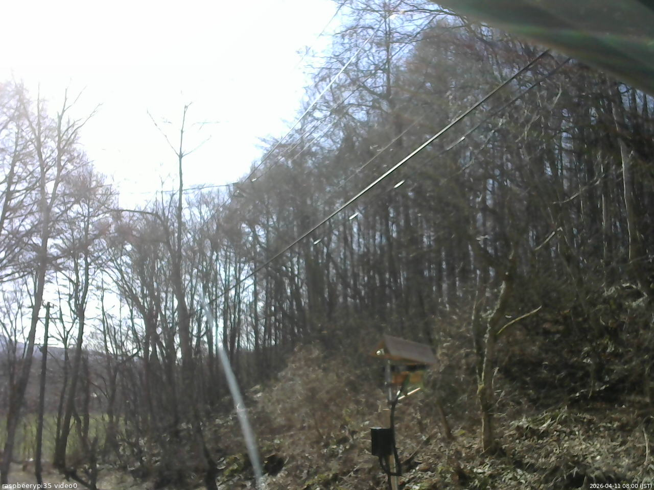 長野県菅平高原 ゆたか山荘 温度計 2026/04/11 08:00