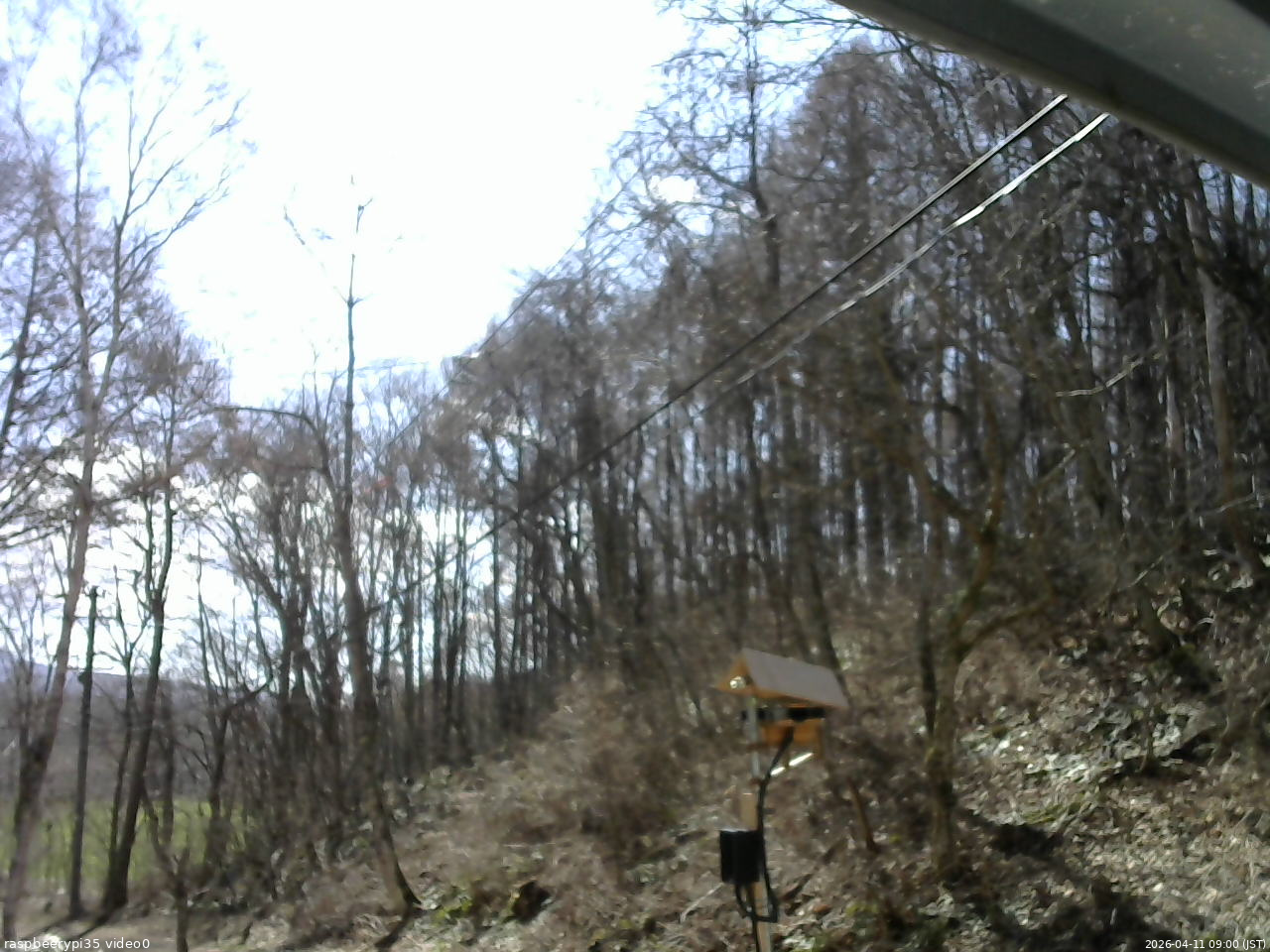 長野県菅平高原 ゆたか山荘 温度計 2026/04/11 09:00