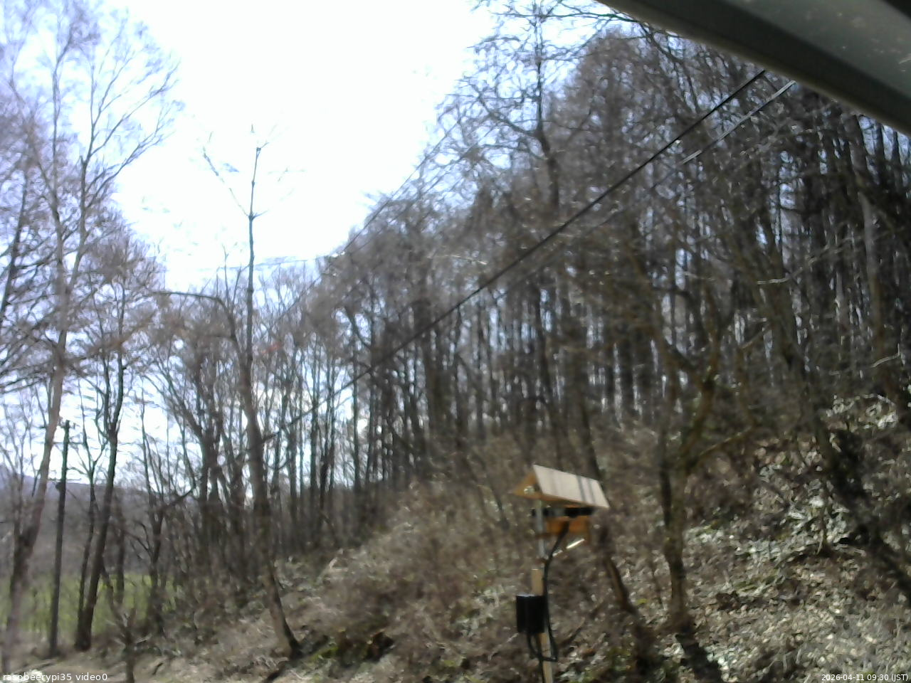 長野県菅平高原 ゆたか山荘 温度計 2026/04/11 09:30
