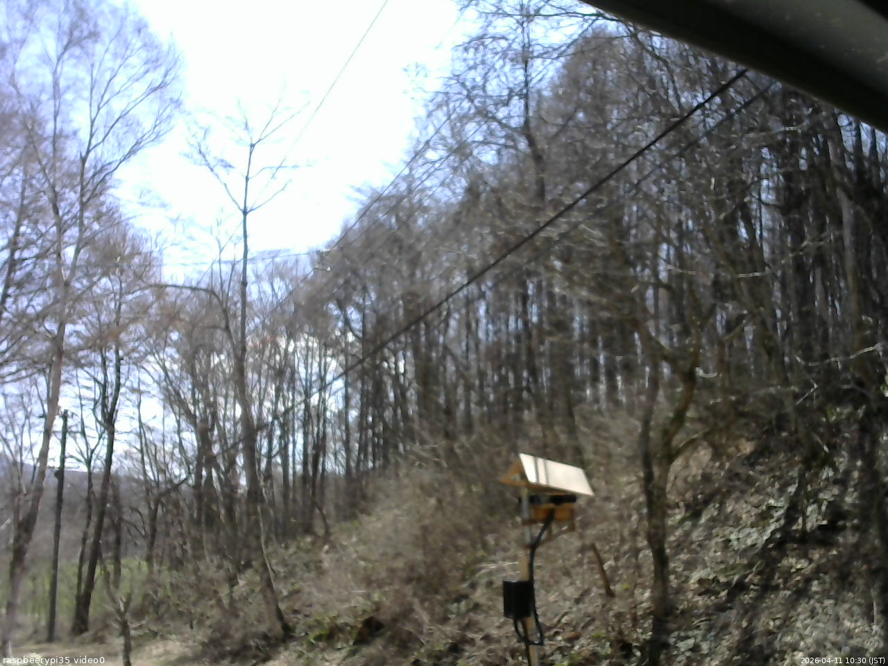 長野県菅平高原 ゆたか山荘 温度計 2026/04/11 10:30