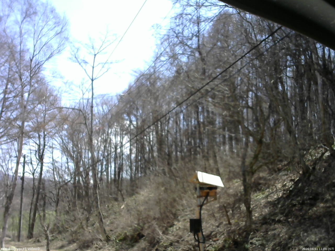 長野県菅平高原 ゆたか山荘 温度計 2026/04/11 11:00