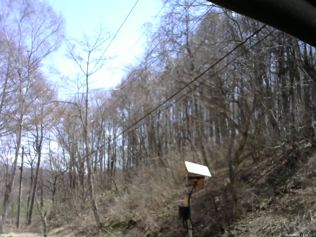 長野県菅平高原 ゆたか山荘 温度計 2026/04/11 11:45