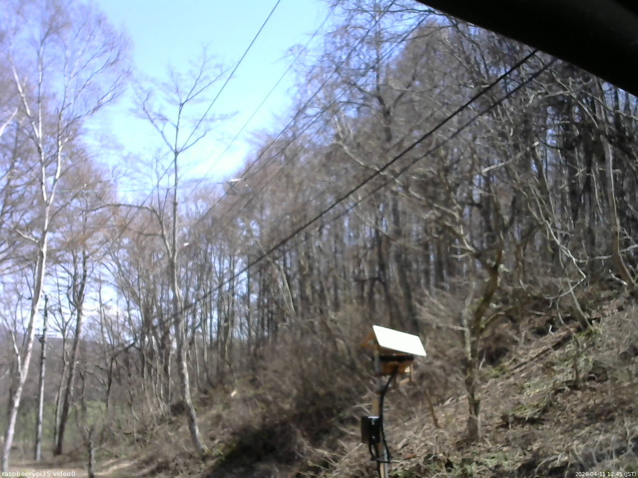 長野県菅平高原 ゆたか山荘 温度計 2026/04/11 12:45