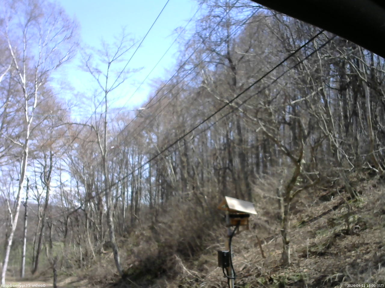 長野県菅平高原 ゆたか山荘 温度計 2026/04/11 13:00