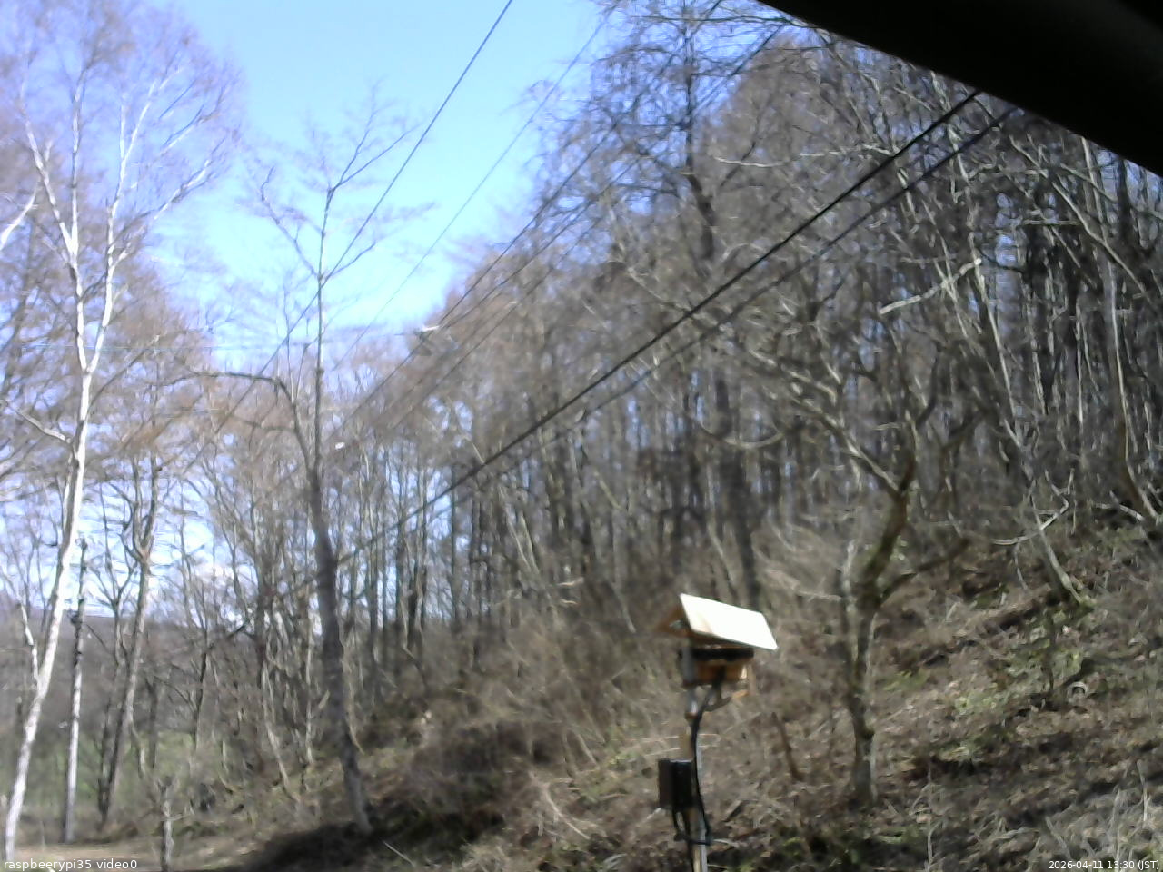 長野県菅平高原 ゆたか山荘 温度計 2026/04/11 13:30