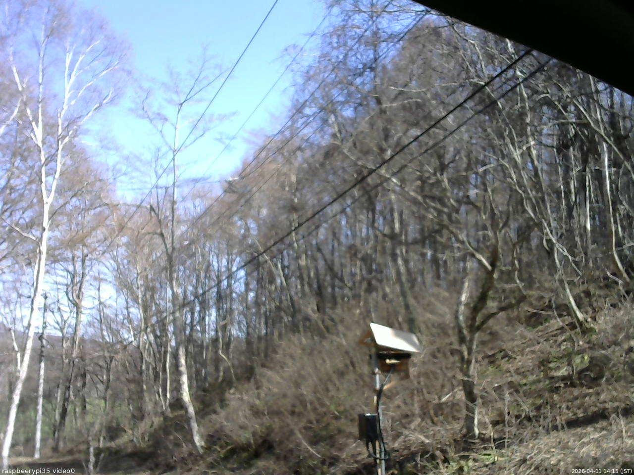 長野県菅平高原 ゆたか山荘 温度計 2026/04/11 14:15
