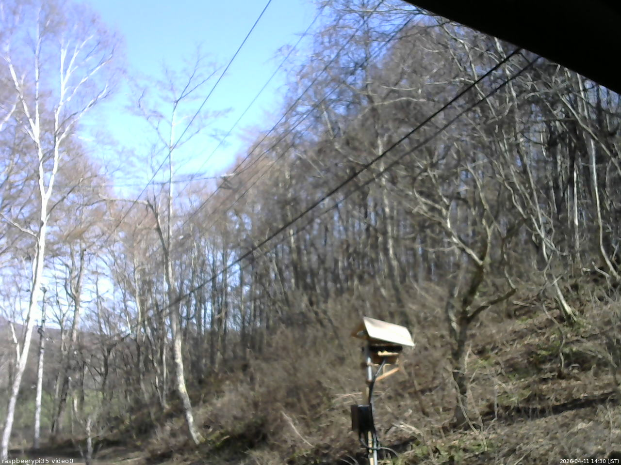 長野県菅平高原 ゆたか山荘 温度計 2026/04/11 14:30