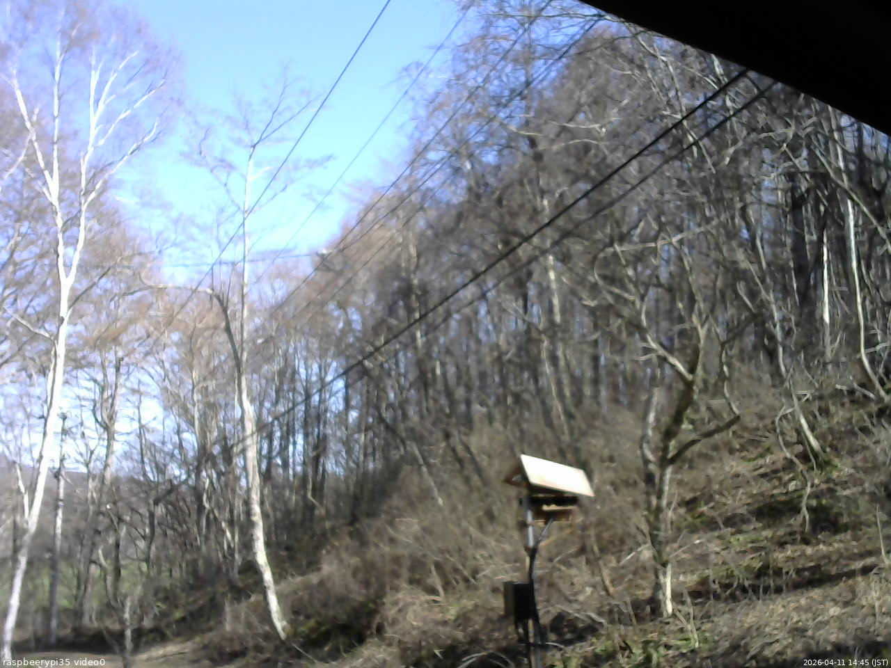 長野県菅平高原 ゆたか山荘 温度計 2026/04/11 14:45