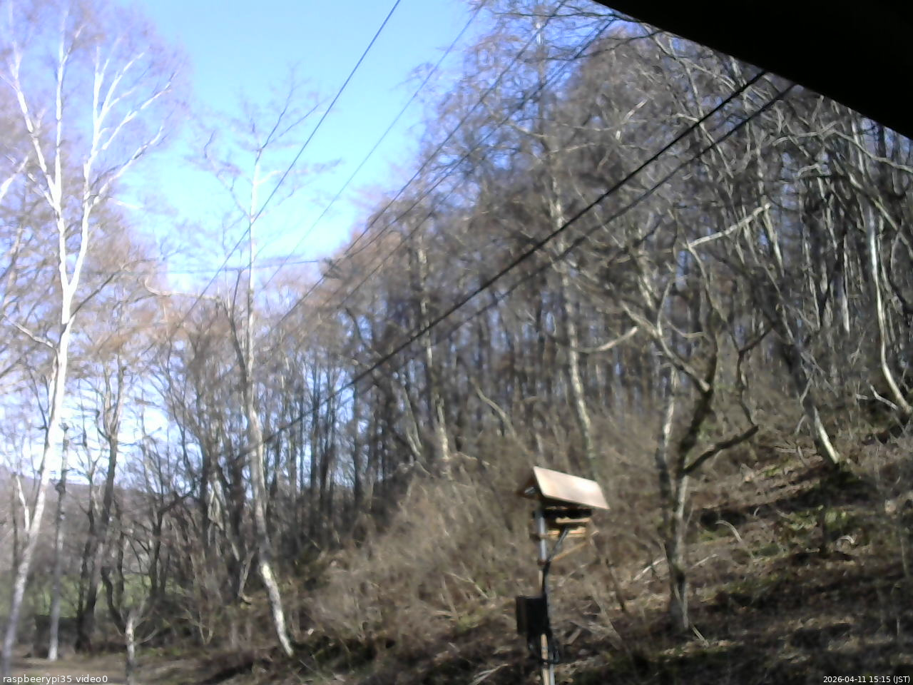 長野県菅平高原 ゆたか山荘 温度計 2026/04/11 15:15