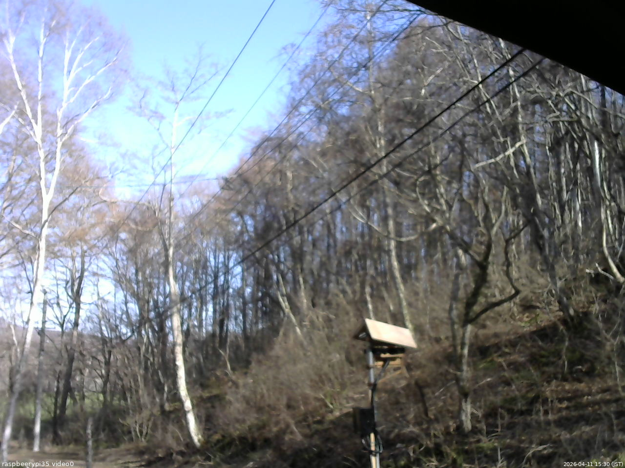 長野県菅平高原 ゆたか山荘 温度計 2026/04/11 15:30