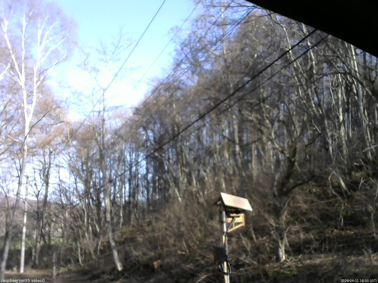 長野県菅平高原 ゆたか山荘 温度計 2026/04/11 16:00