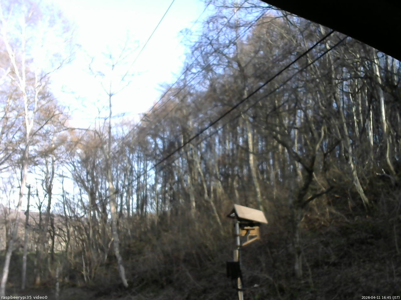 長野県菅平高原 ゆたか山荘 温度計 2026/04/11 16:45