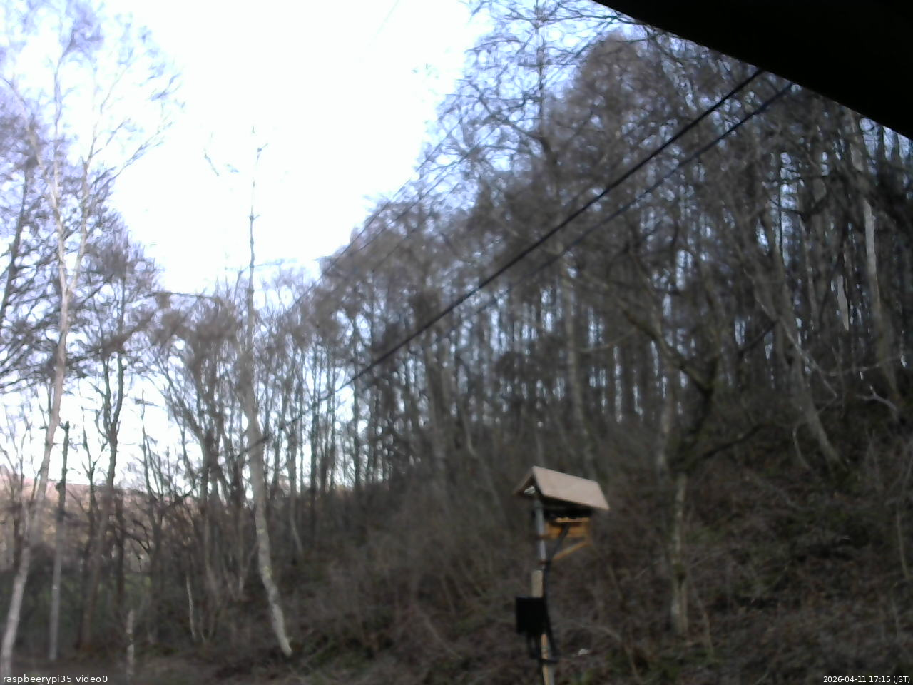 長野県菅平高原 ゆたか山荘 温度計 2026/04/11 17:15