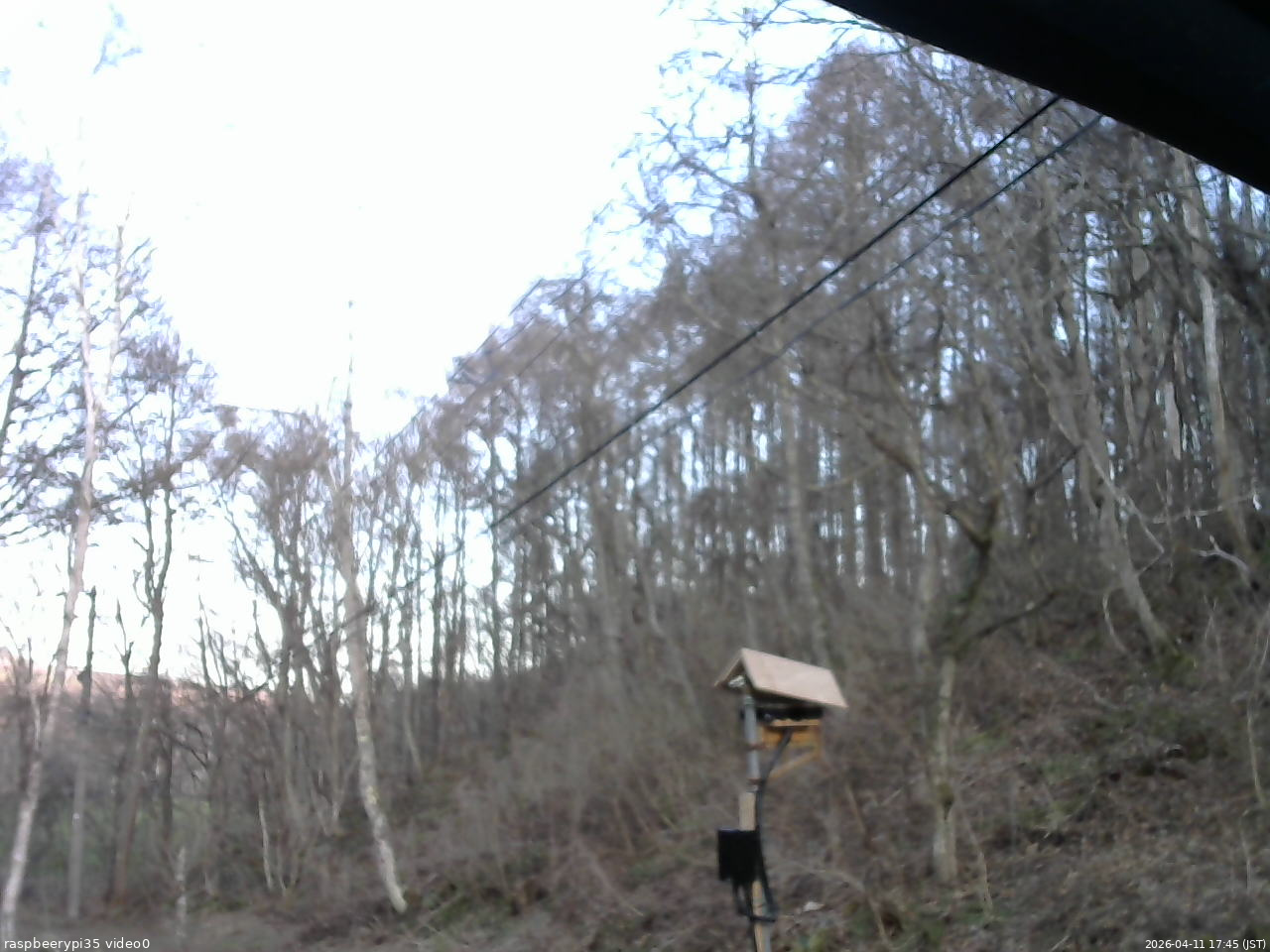 長野県菅平高原 ゆたか山荘 温度計 2026/04/11 17:45