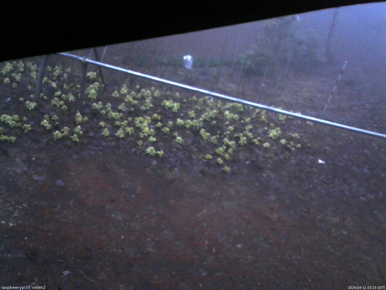 長野県菅平高原 ゆたか山荘 駐車場 2026/04/11 05:15