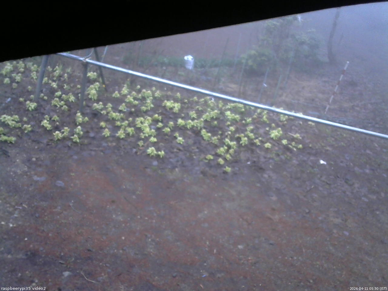 長野県菅平高原 ゆたか山荘 駐車場 2026/04/11 05:30