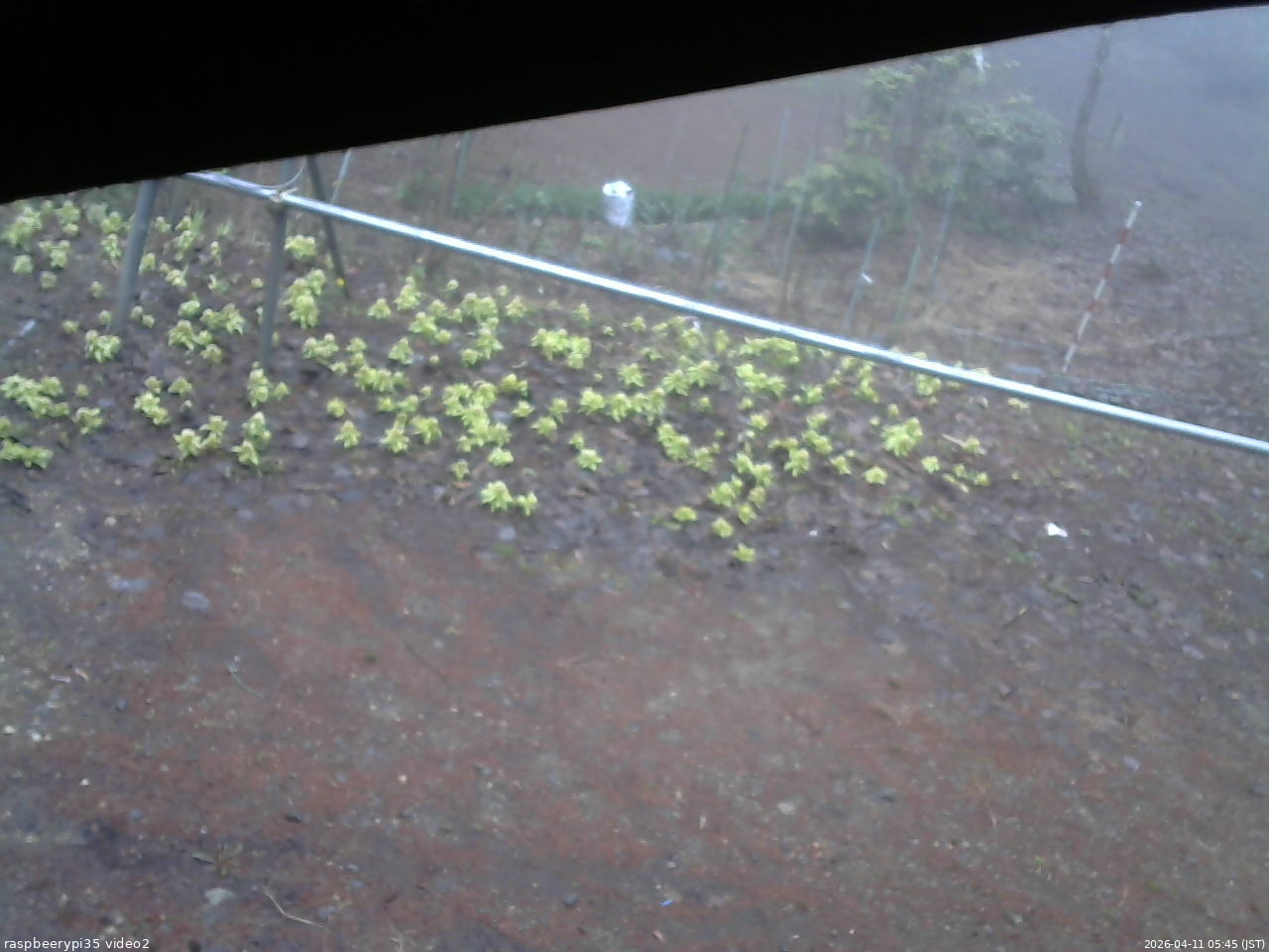 長野県菅平高原 ゆたか山荘 駐車場 2026/04/11 05:45