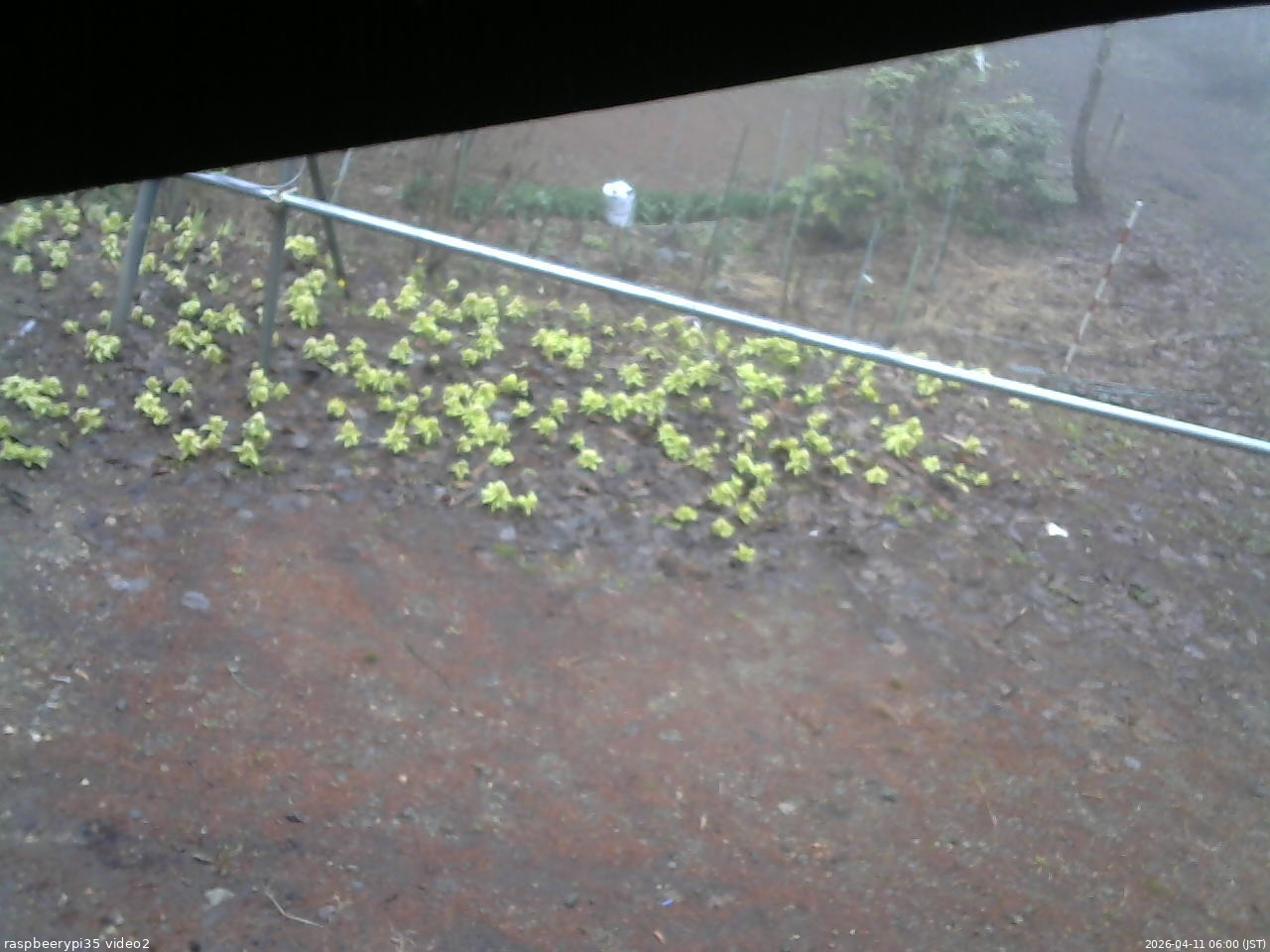 長野県菅平高原 ゆたか山荘 駐車場 2026/04/11 06:00