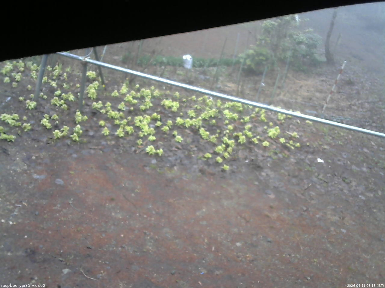 長野県菅平高原 ゆたか山荘 駐車場 2026/04/11 06:15