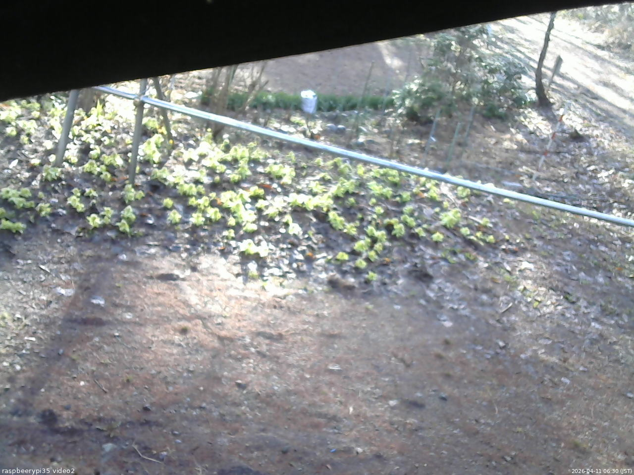 長野県菅平高原 ゆたか山荘 駐車場 2026/04/11 06:30