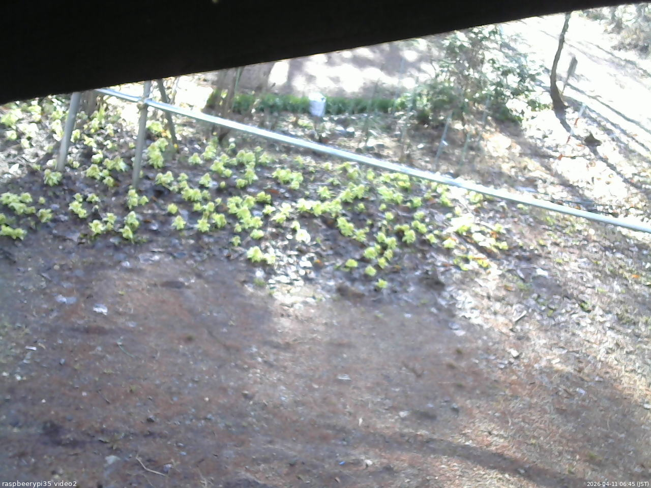 長野県菅平高原 ゆたか山荘 駐車場 2026/04/11 06:45