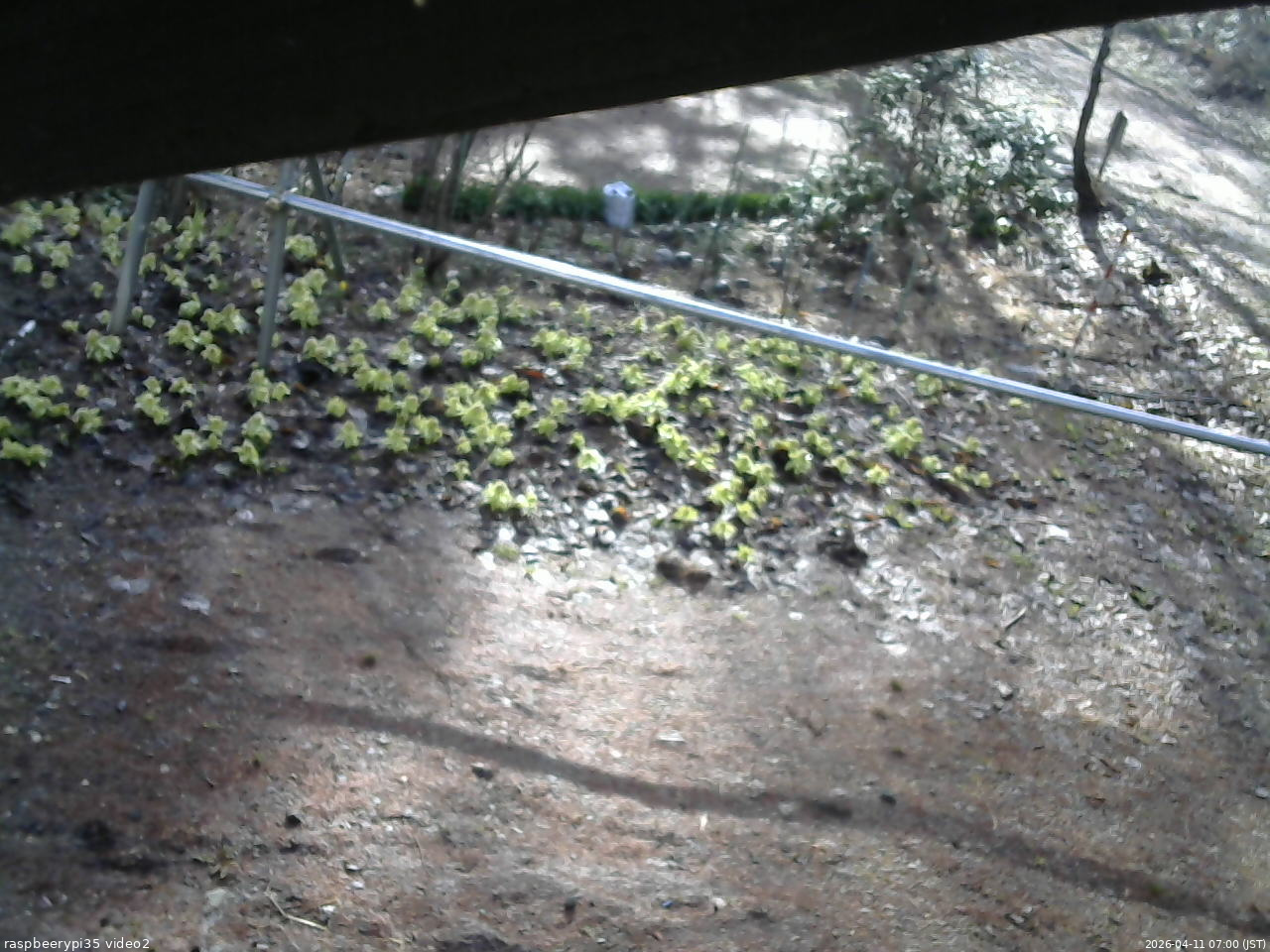 長野県菅平高原 ゆたか山荘 駐車場 2026/04/11 07:00