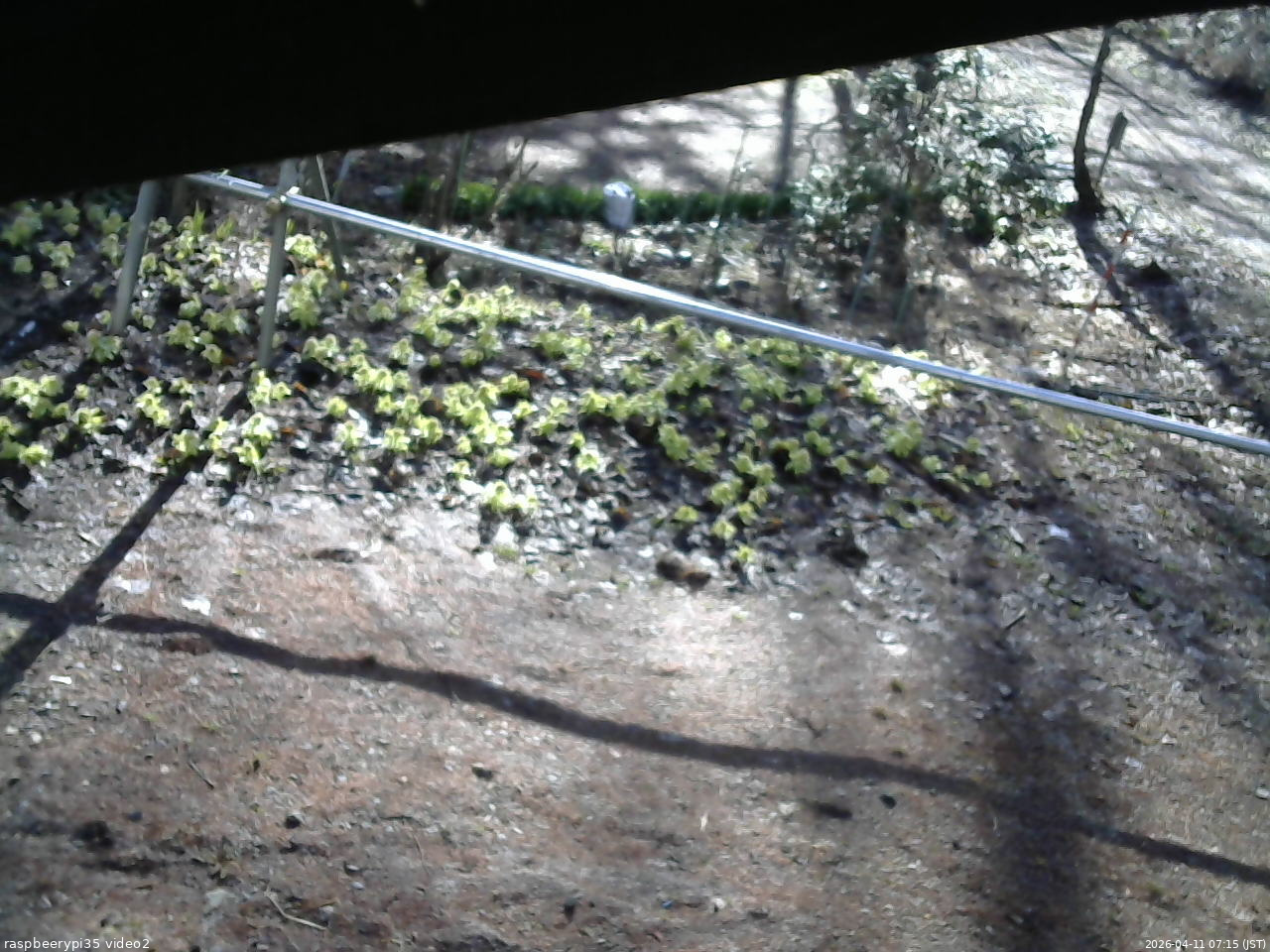 長野県菅平高原 ゆたか山荘 駐車場 2026/04/11 07:15