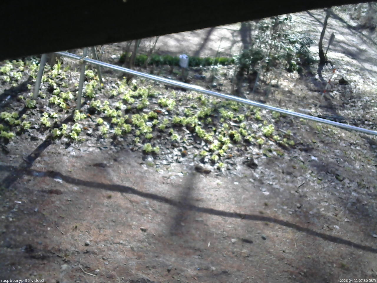 長野県菅平高原 ゆたか山荘 駐車場 2026/04/11 07:30