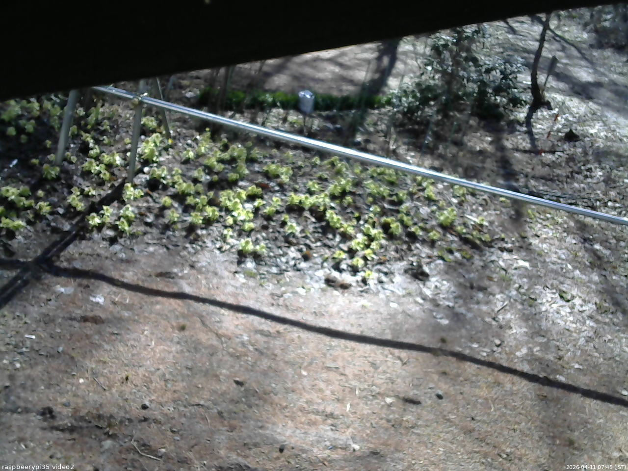 長野県菅平高原 ゆたか山荘 駐車場 2026/04/11 07:45