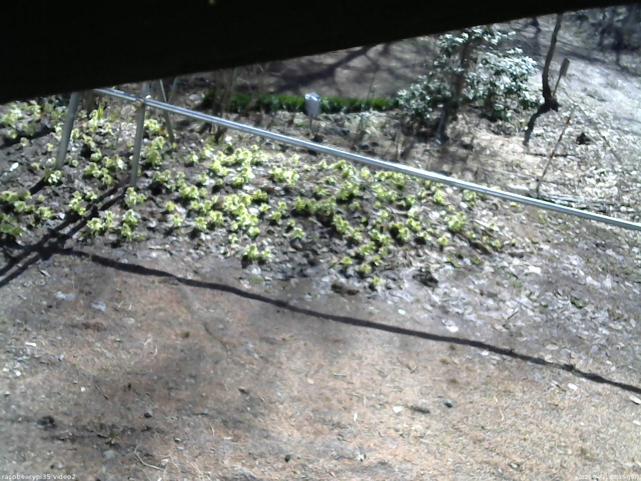 長野県菅平高原 ゆたか山荘 駐車場 2026/04/11 08:15