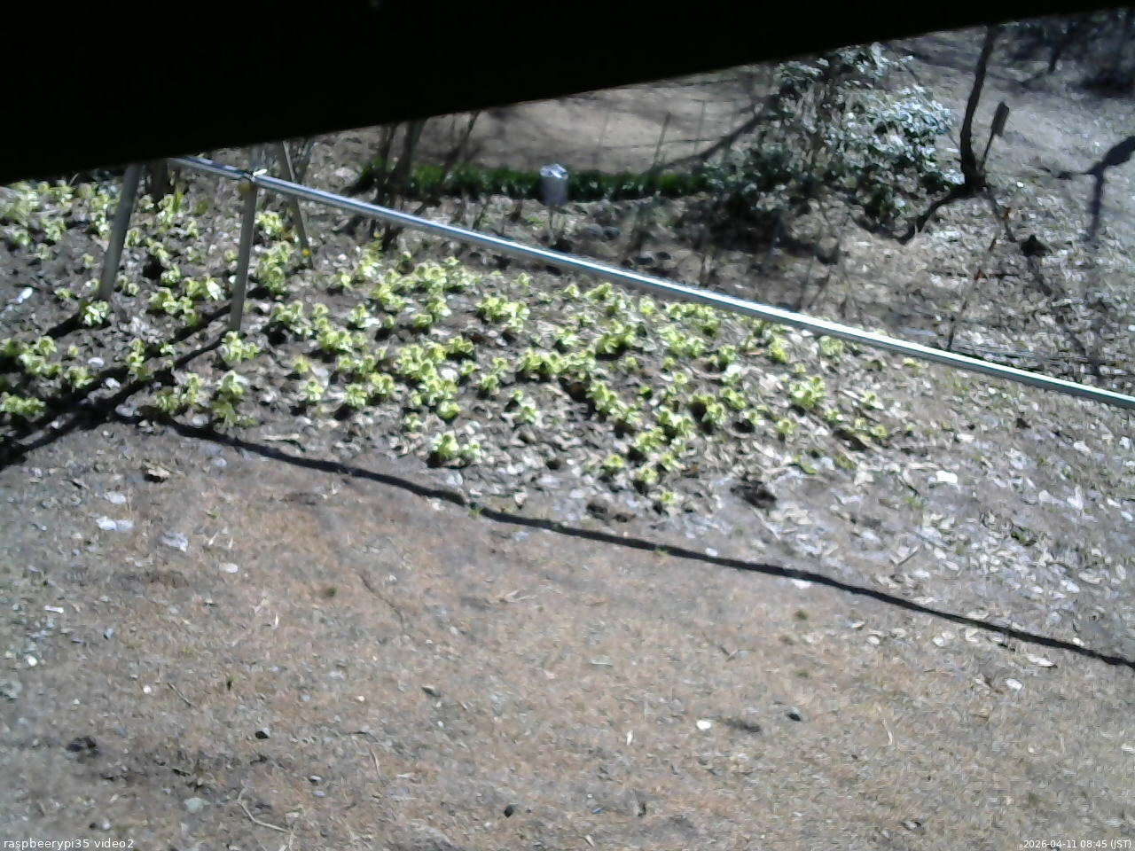 長野県菅平高原 ゆたか山荘 駐車場 2026/04/11 08:45