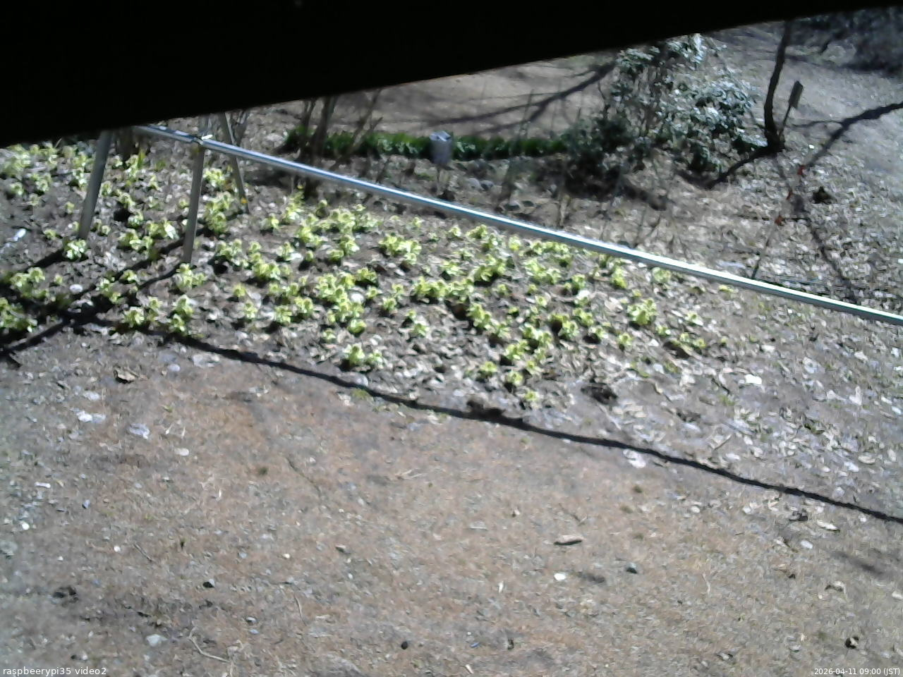 長野県菅平高原 ゆたか山荘 駐車場 2026/04/11 09:00