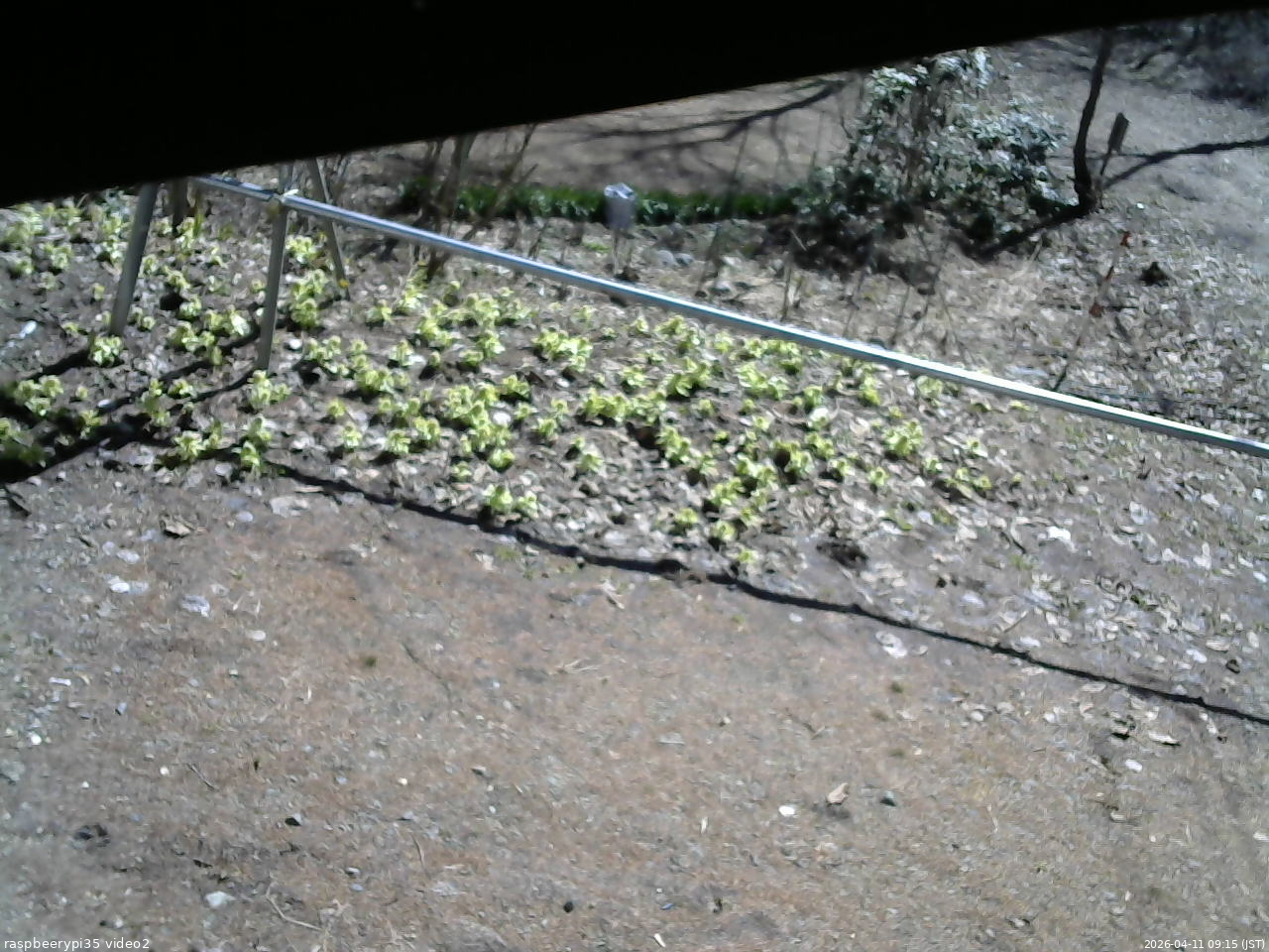 長野県菅平高原 ゆたか山荘 駐車場 2026/04/11 09:15