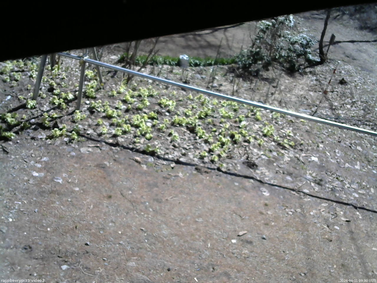 長野県菅平高原 ゆたか山荘 駐車場 2026/04/11 09:30