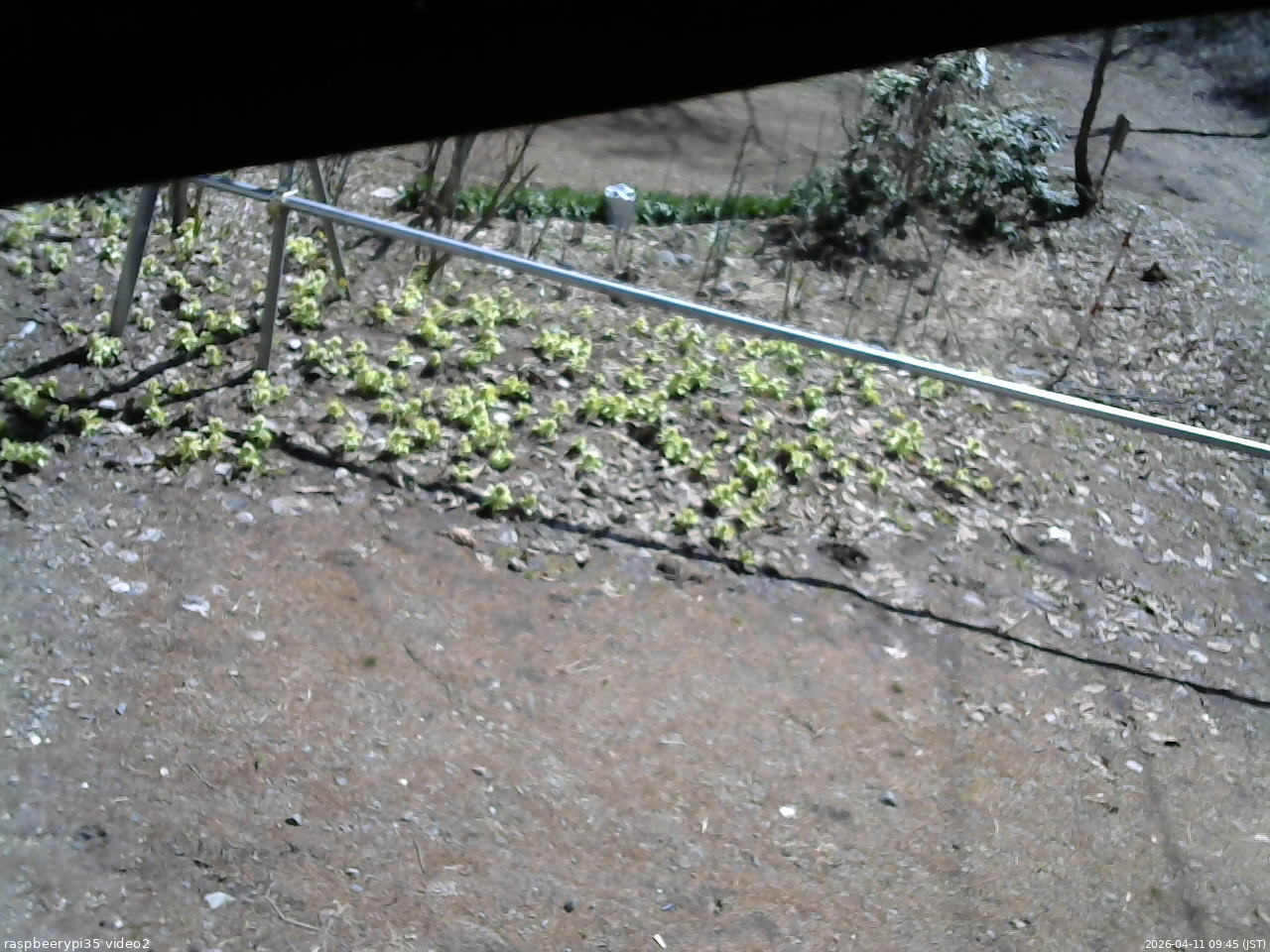 長野県菅平高原 ゆたか山荘 駐車場 2026/04/11 09:45