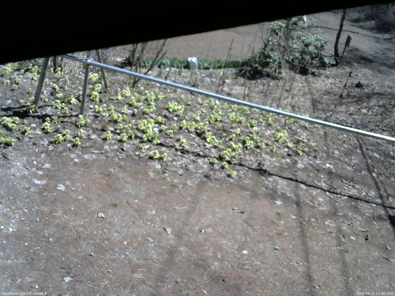 長野県菅平高原 ゆたか山荘 駐車場 2026/04/11 11:00