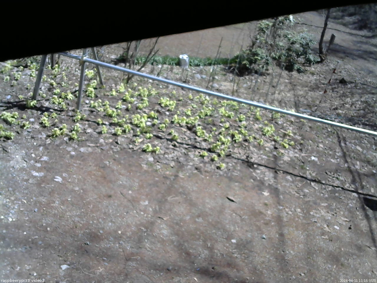 長野県菅平高原 ゆたか山荘 駐車場 2026/04/11 11:15