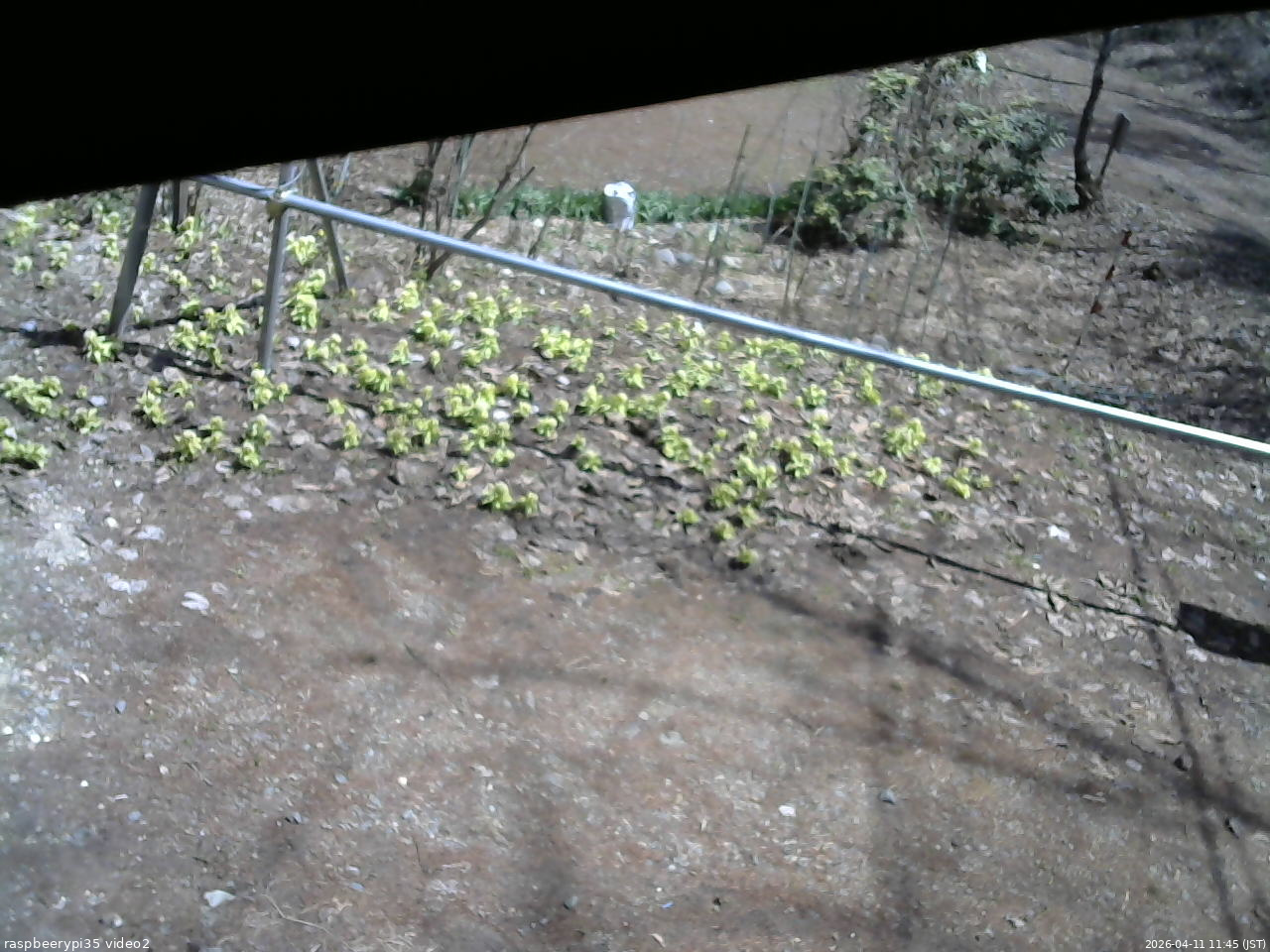 長野県菅平高原 ゆたか山荘 駐車場 2026/04/11 11:45