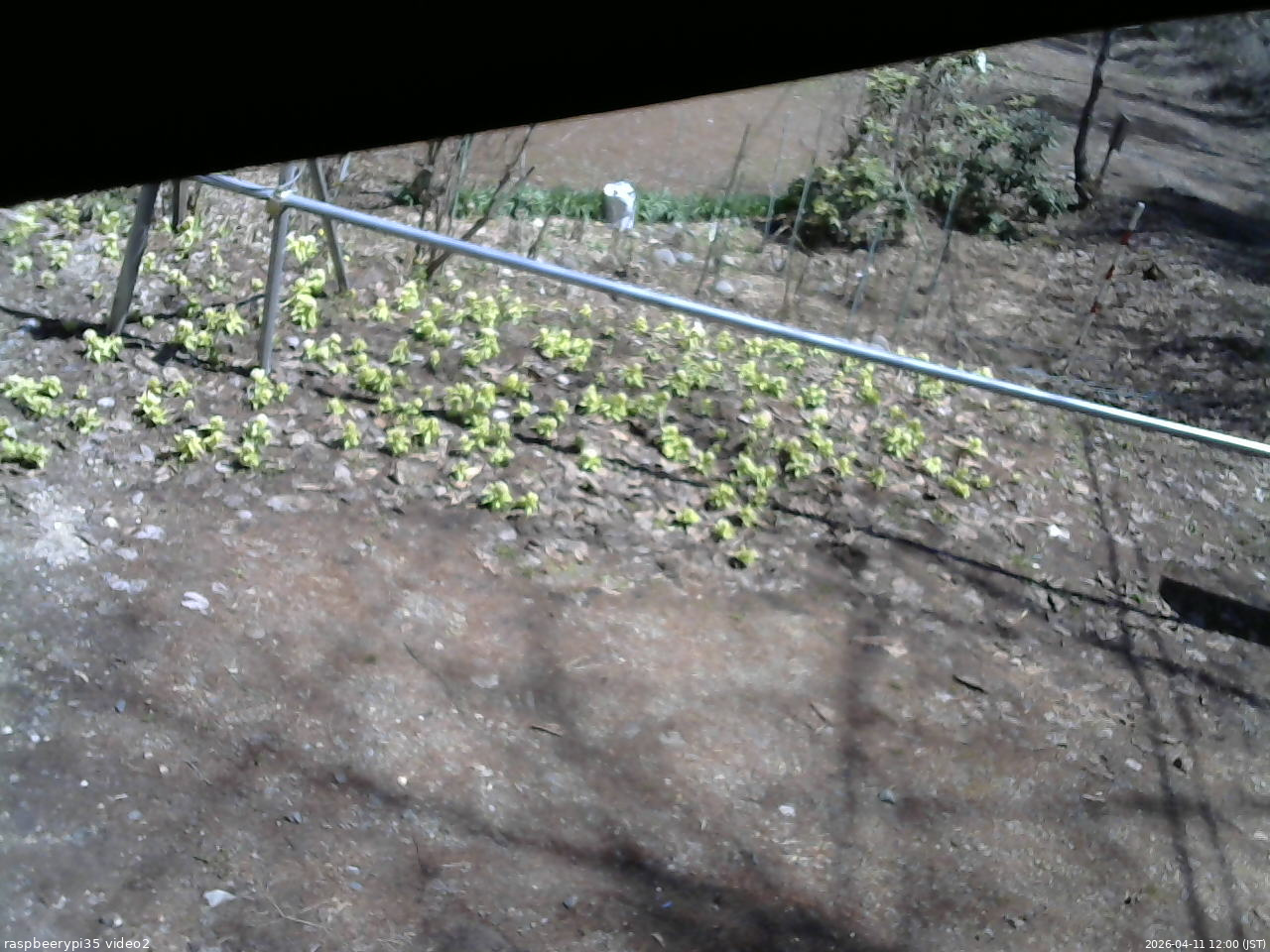 長野県菅平高原 ゆたか山荘 駐車場 2026/04/11 12:00